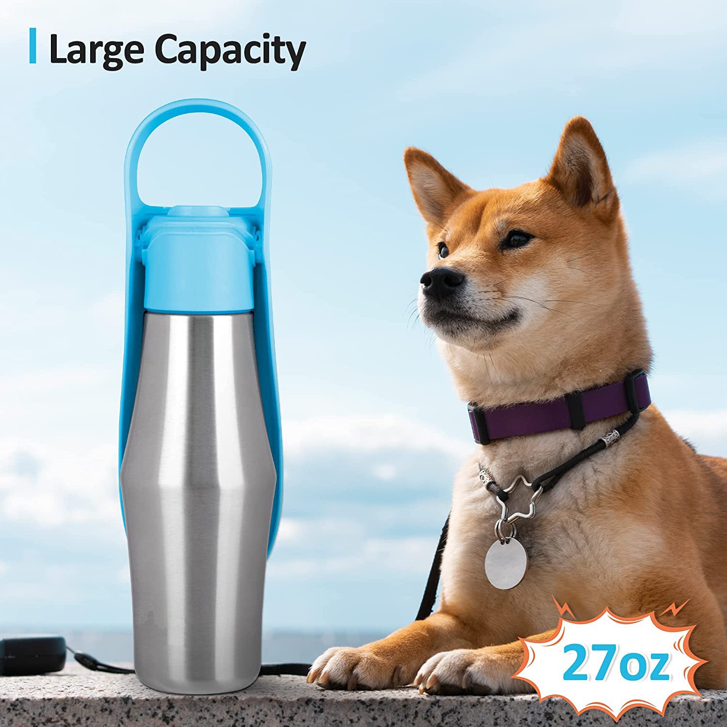 Pet Gear